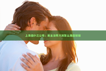 上海捉小三公司：男主没有大哭怎么挽回婚姻